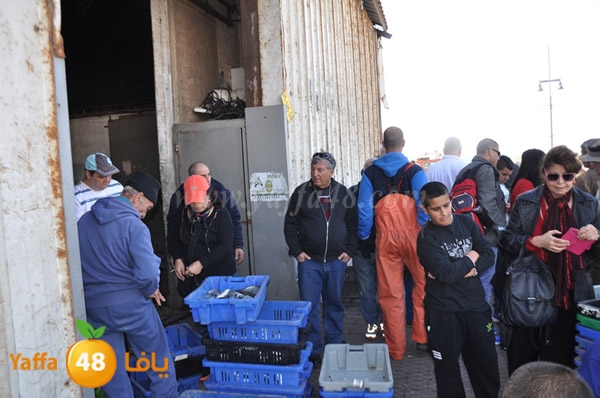 samak denisss (15).JPG